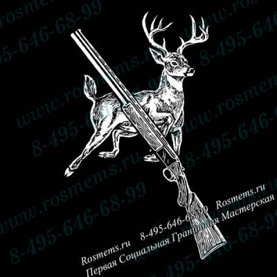 №34 Олень Ружье
