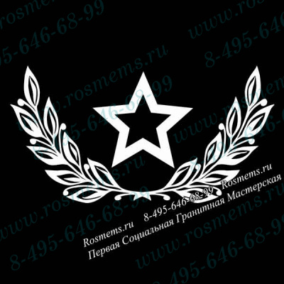 №48 Звезда