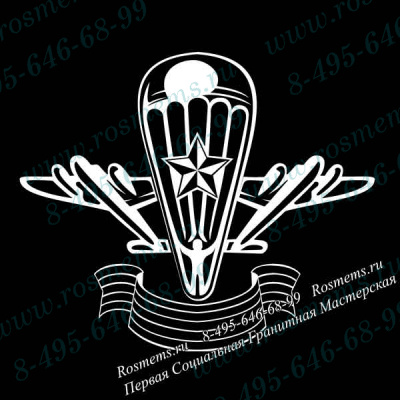 №29 ВДВ