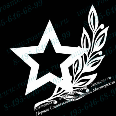 №46 Звезда