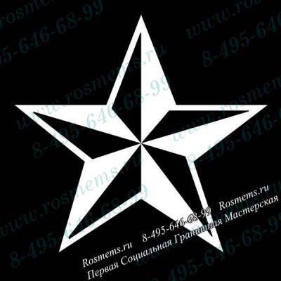 №49 Звезда